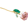 JDSP61-9061 LACQUERED CREAM PICASSO ROSE WITH GOLD TRIM - Johnny Dang & Co