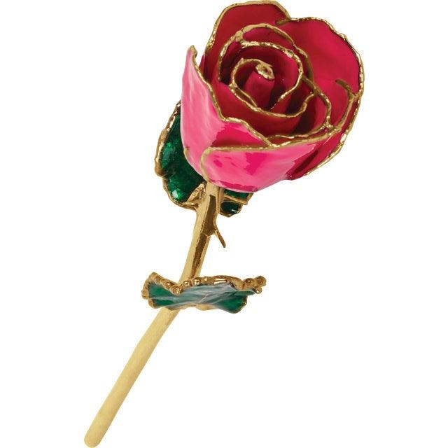 JDSP61-9066 LACQUERED MAGENTA ROSE WITH GOLD TRIM - Johnny Dang & Co