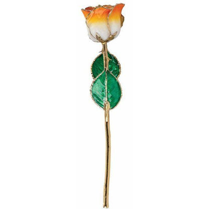 JDSP 61-9042 - Lacquered Cream Orange Rose with Gold Trim - Johnny Dang & Co