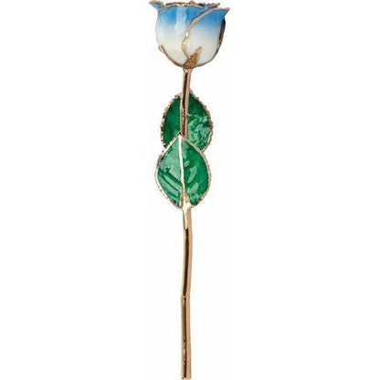 JDSP61-9044 - Lacquered Cream Blue Rose with Gold Trim - Johnny Dang & Co