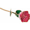 JDSP61-9048 -Lacquered Cream Red Rose with Gold Trim - Johnny Dang & Co