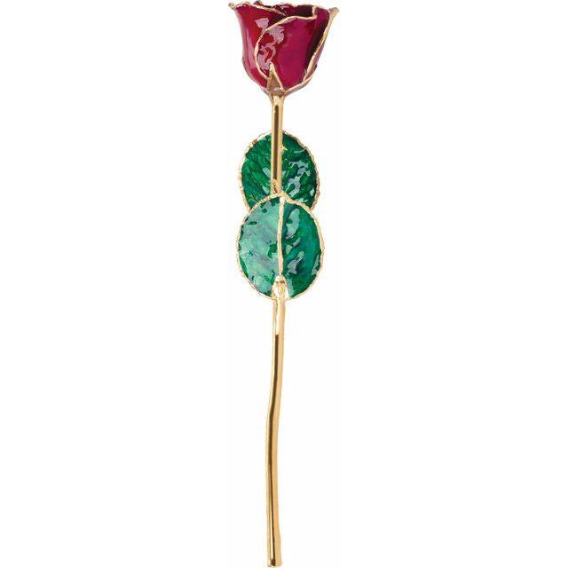 JDSP61-9051-Lacquered Garnet Colored Rose with Gold Trim - Johnny Dang & Co