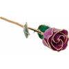 JDSP61-9053 - Lacquered Amethyst Colored Rose with Gold Trim - Johnny Dang & Co