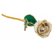 JDSP61-9087 - Lacquered Pearl Colored Rose with Gold Trim - Johnny Dang & Co