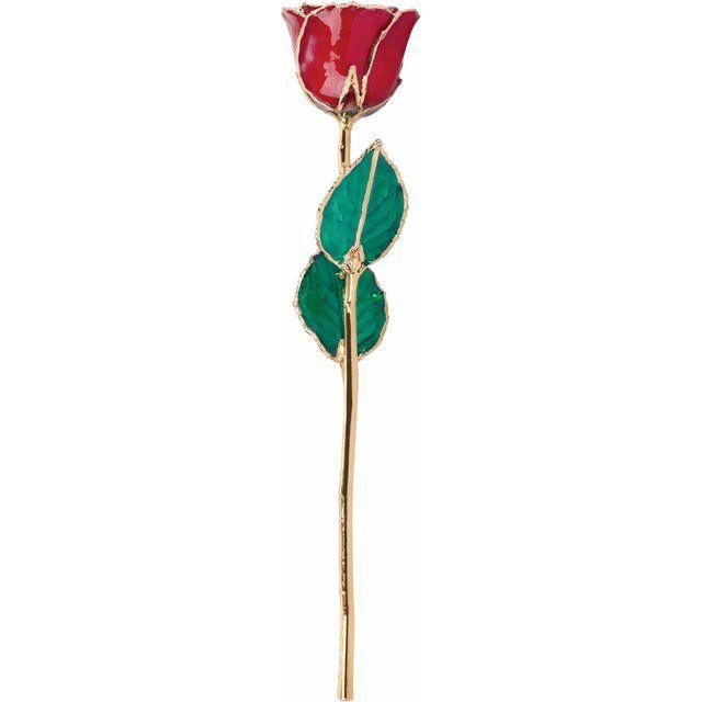 JDSP61-9088 -Lacquered Ruby Colored Rose with Gold Trim - Johnny Dang & Co
