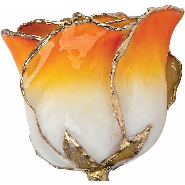 JDSP61-9042 - Lacquered Cream Orange Rose with Gold Trim - Johnny Dang & Co