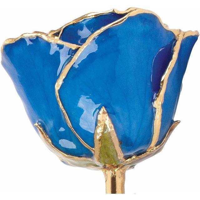 JDSP61-9092 - Lacquered Blue Sapphire Colored Rose with Gold Trim - Johnny Dang & Co