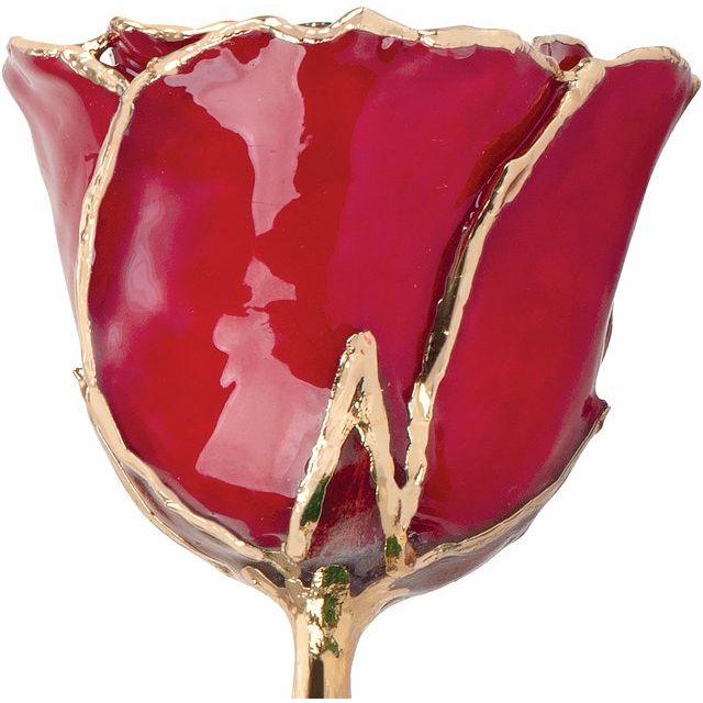 JDSP61-9088 -Lacquered Ruby Colored Rose with Gold Trim - Johnny Dang & Co