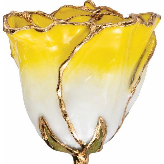 JDSP61-9064 - Lacquered Cream Yellow Rose with Gold Trim - Johnny Dang & Co