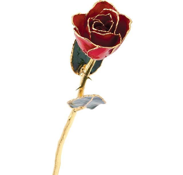 JDSP61-9141 LACQUERED RED ROSE WITH GOLD TRIM - Johnny Dang & Co