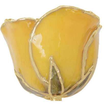 JDSP61-9148 LACQUERED YELLOW ROSE WITH GOLD TRIM - Johnny Dang & Co