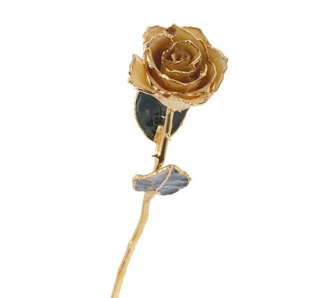 JDSP61-9149 LACQUERED WHITE ROSE WITH GOLD TRIM - Johnny Dang & Co