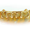JDTK-53 Dripping Gold Grill - Johnny Dang & Co