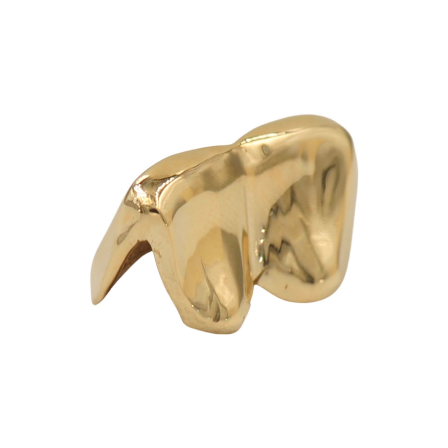 2 Teeth Solid Gold Grill
